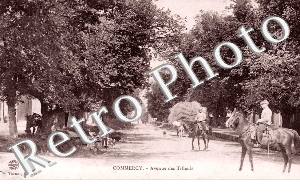 Avenue des Tilleuls
