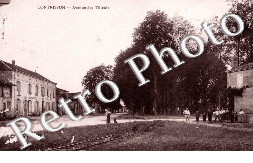 avenue des tilleuls