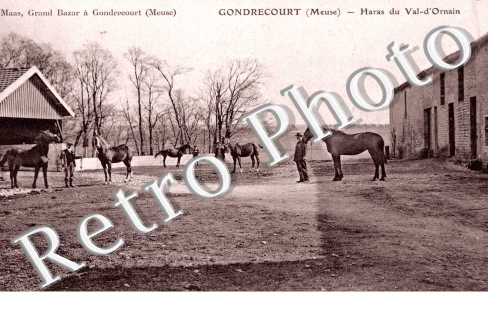Haras du Val-d'Ornain