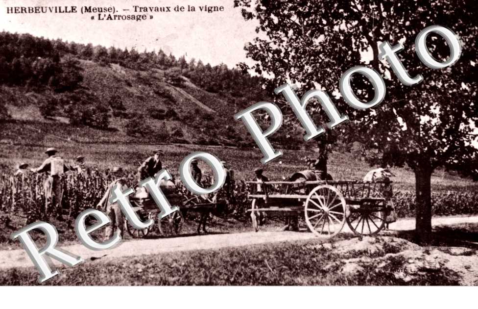 Travaux de la vigne " L'arrosage "
