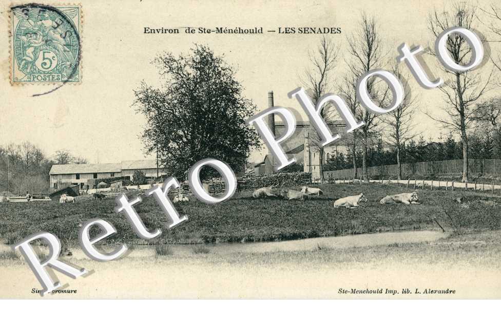 les Senades