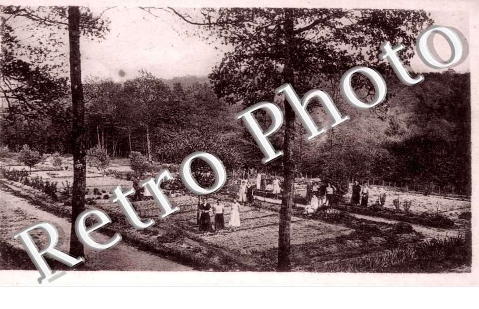 Jardin potager