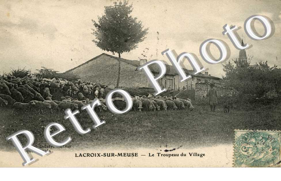 le troupeau du village