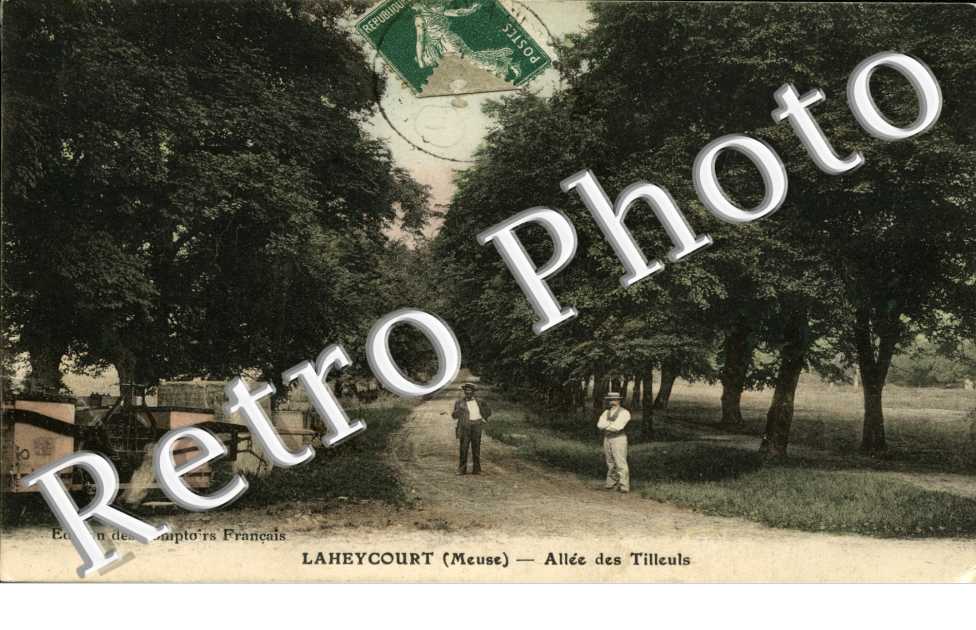 allee des tilleuls 