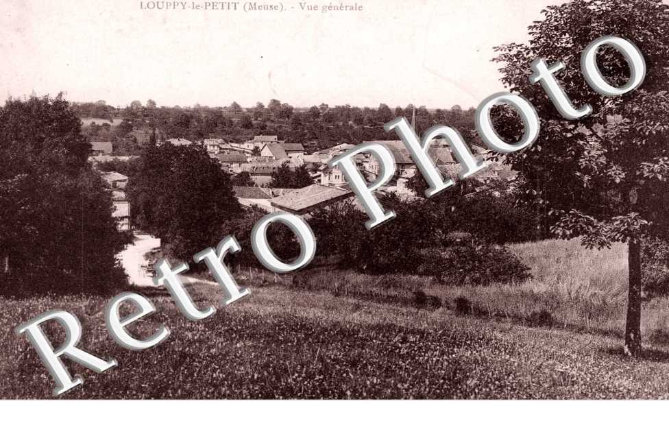 Vue generale - Louppy-le-Petit
