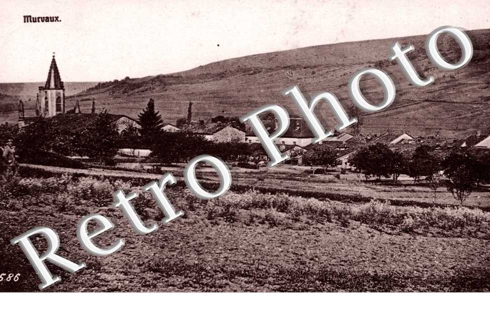 ( Vue generale)