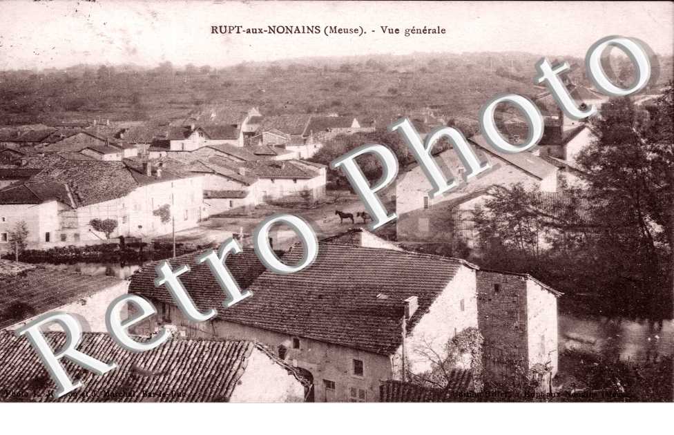 Vue generale