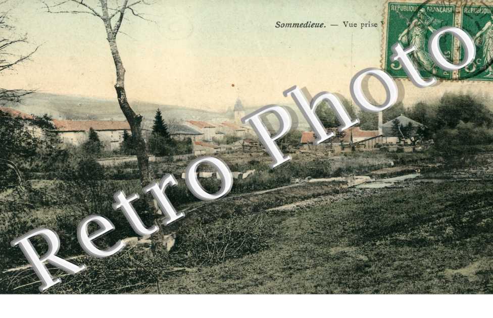 (vue d'ensemble)