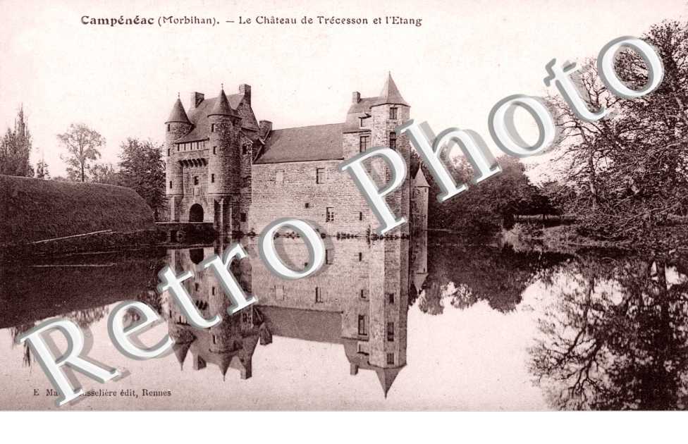 Chateau et etang de Trecesson