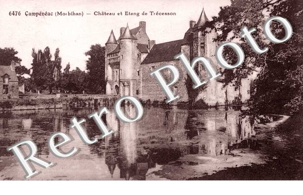Chateau et etang de Trecesson