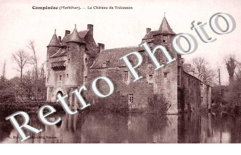 Chateau de Trecesson