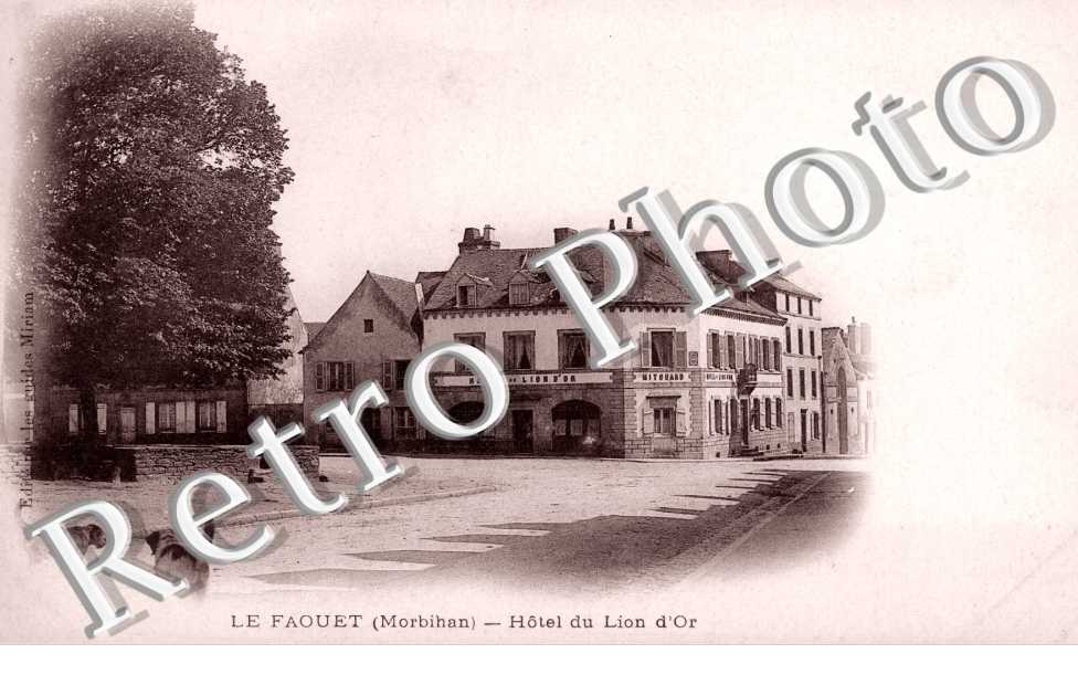 Hotel du Lion d'Or
