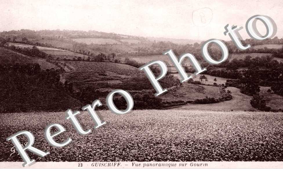 Vue panoramique sur Gournin