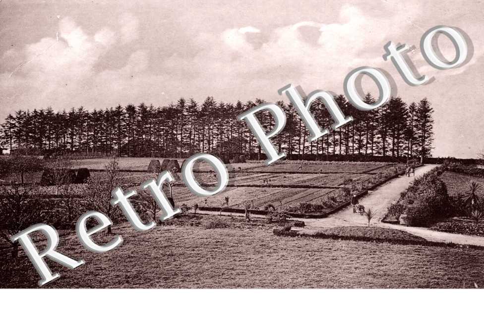 Orphelinat Saint Michel - le jardin - vue d'ensemble