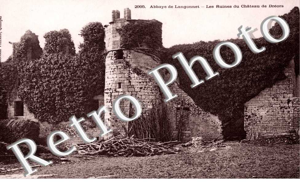 Abbaye de Langonnet - les ruines du chateau de Dreors