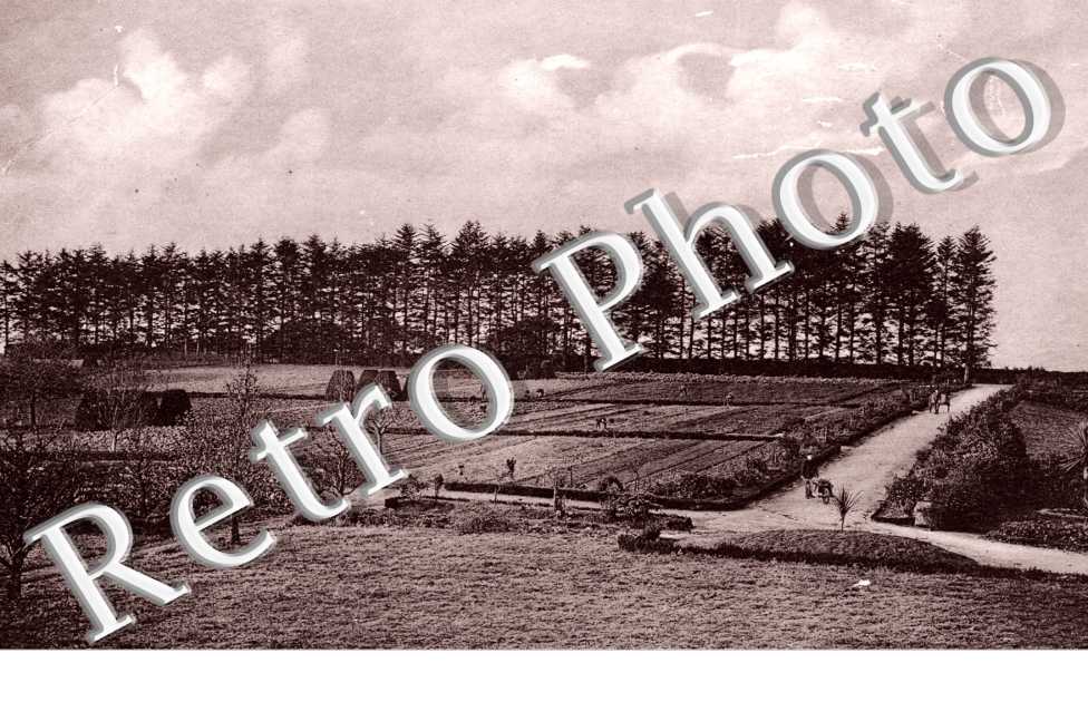 Orphelinat Saint-Michel, le Jardin, Vue d'ensemble