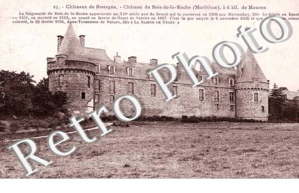 Chateau de bretagne