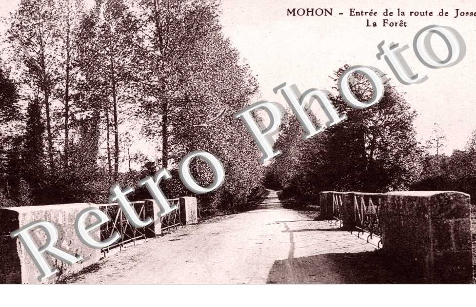 Entree de la Route de Josselin, la Foret