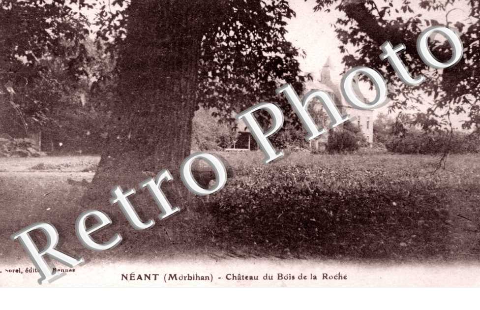 Chateau du Bois de la Roche