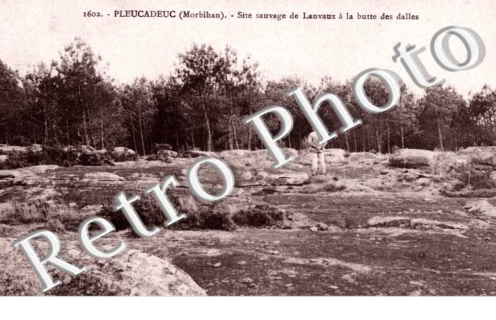 Site sauvage de Lanvaux a la butte des dalles