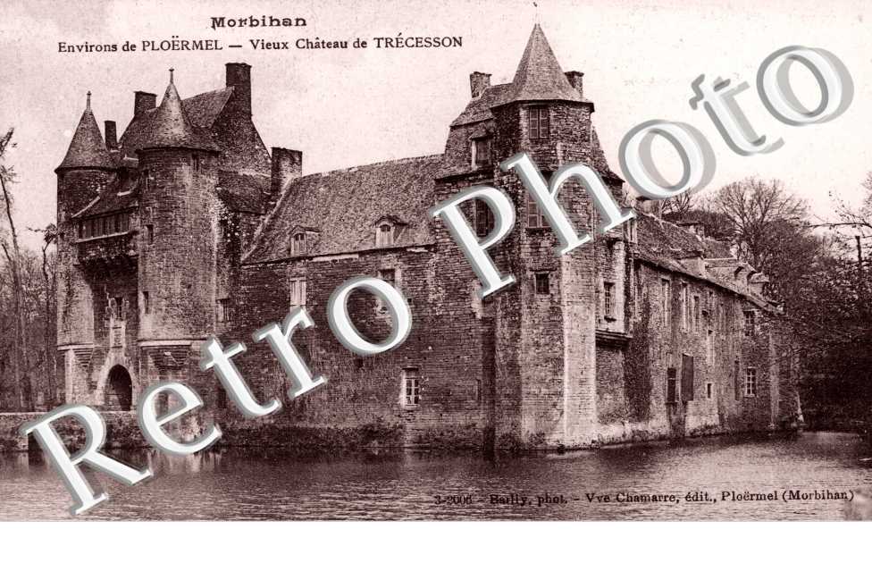 Vieux Chateau de Trecesson
