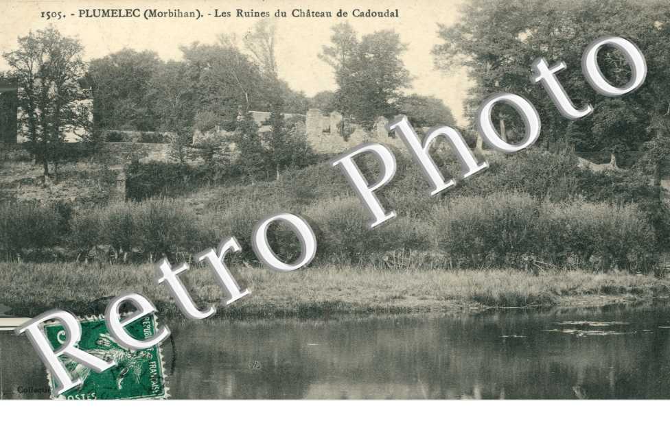 Les Ruines du Château de Cadoudal