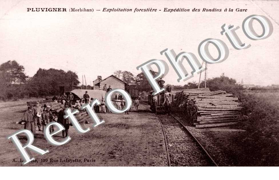 exploitation forestiere, expedition des rondins a la gare