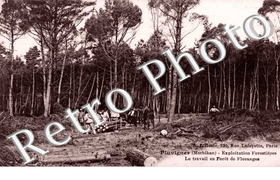exploitation forestiere, le travail en foret de Floranges