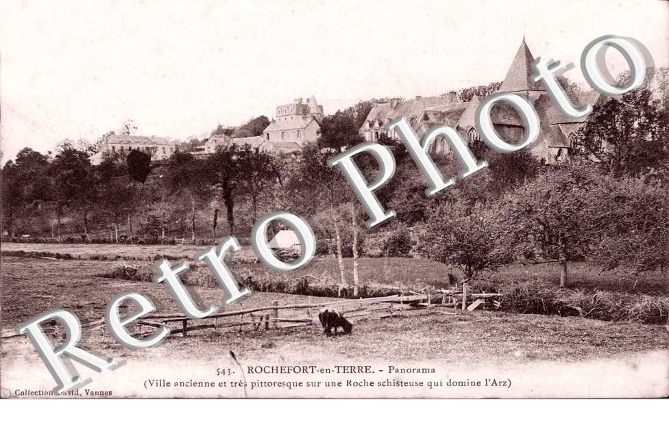 Panorama