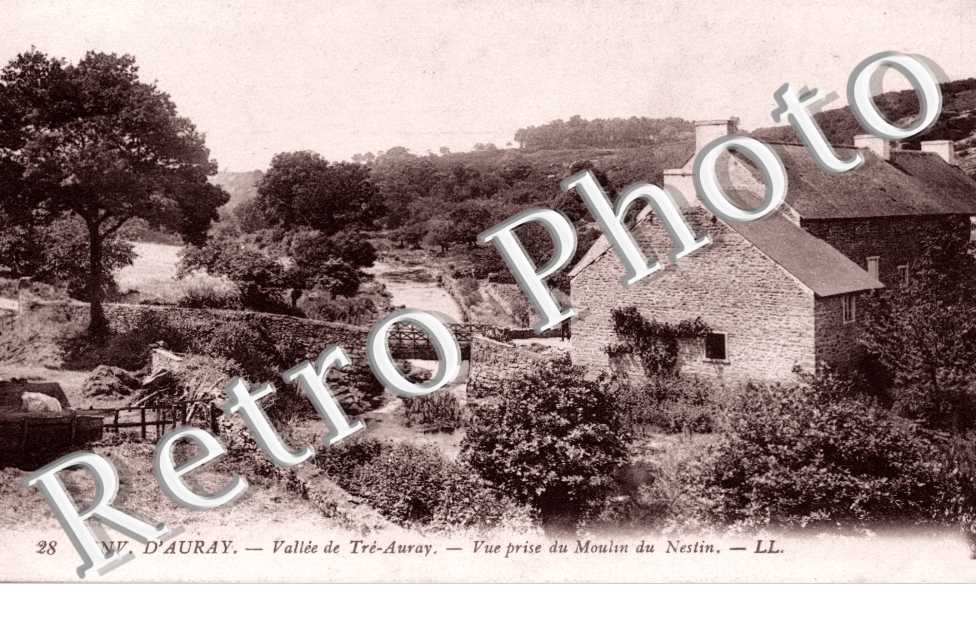 La vallee Tre Auray Vue prise du moulin de nestin