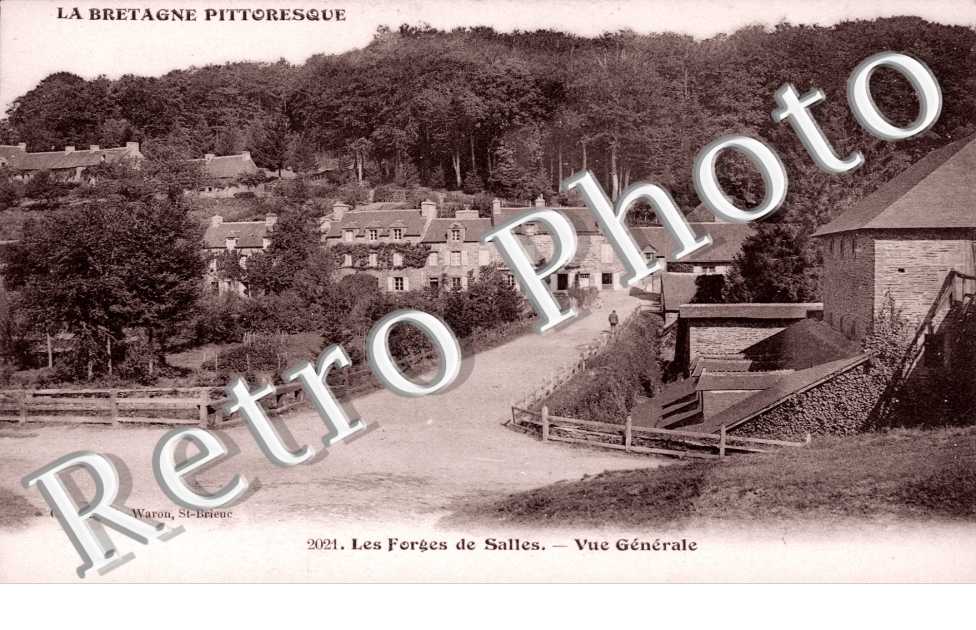 Les Forges de Salles. Vue générale