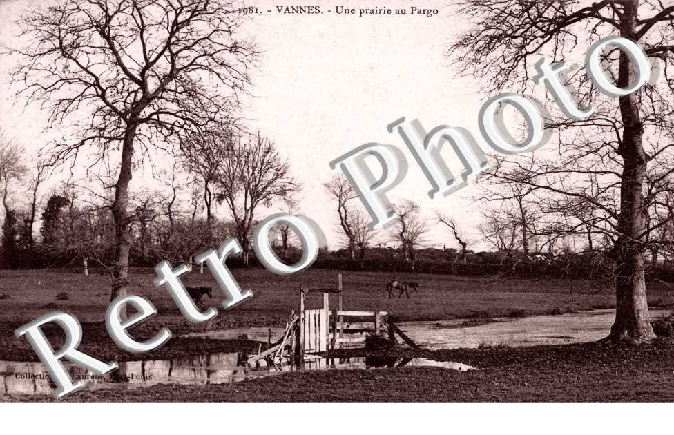 Une prairie au Pargo