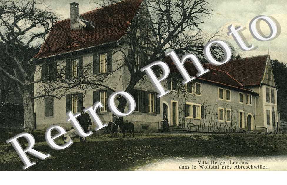 Villa Berger-Levraux dans le Wolfstal pres Abreschwiller