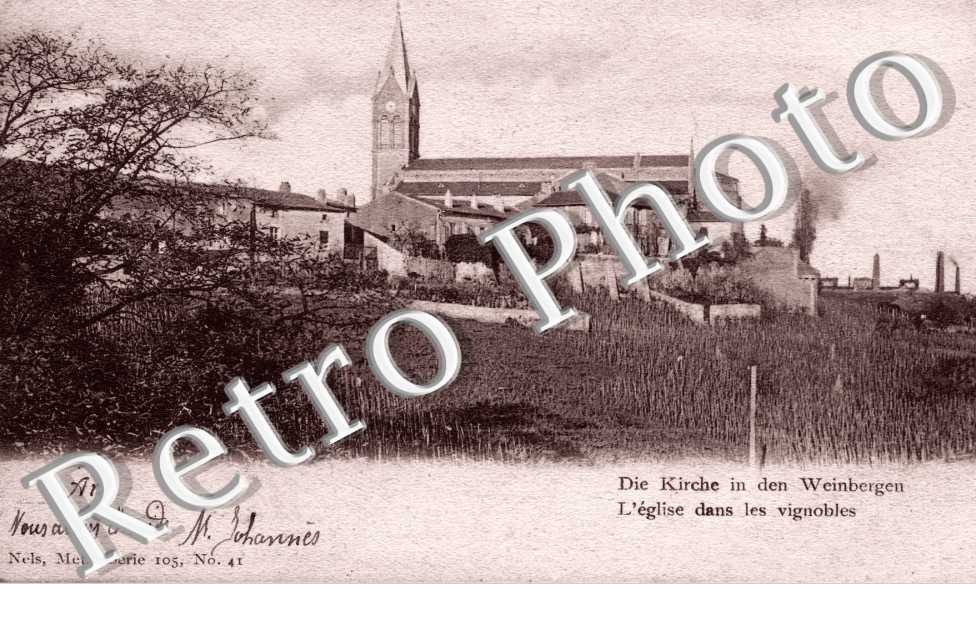 l'eglise dans les vignobles