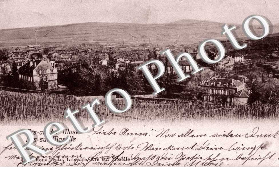 vue generale