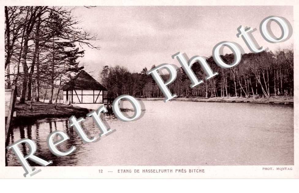etang de Hasselfurth