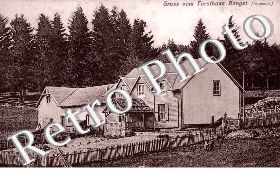 Gruss vom Forsthaus Bengst