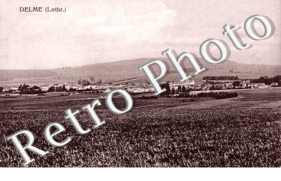 Vue Panoramique