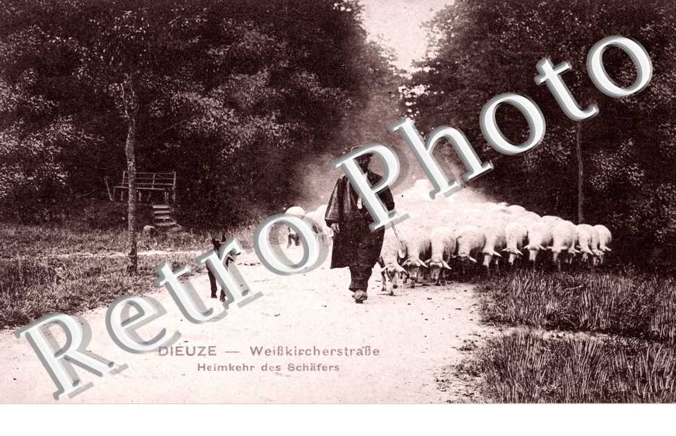 Weisskircherstrasse - Heimkehr des Schafers (berger)