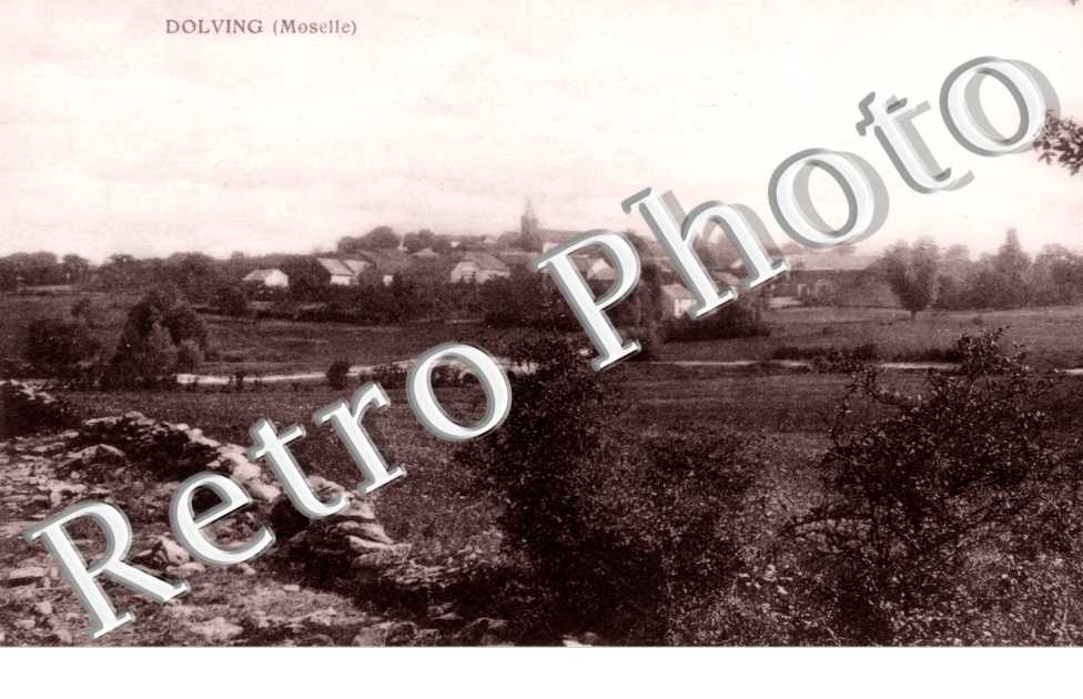vue d'ensemble