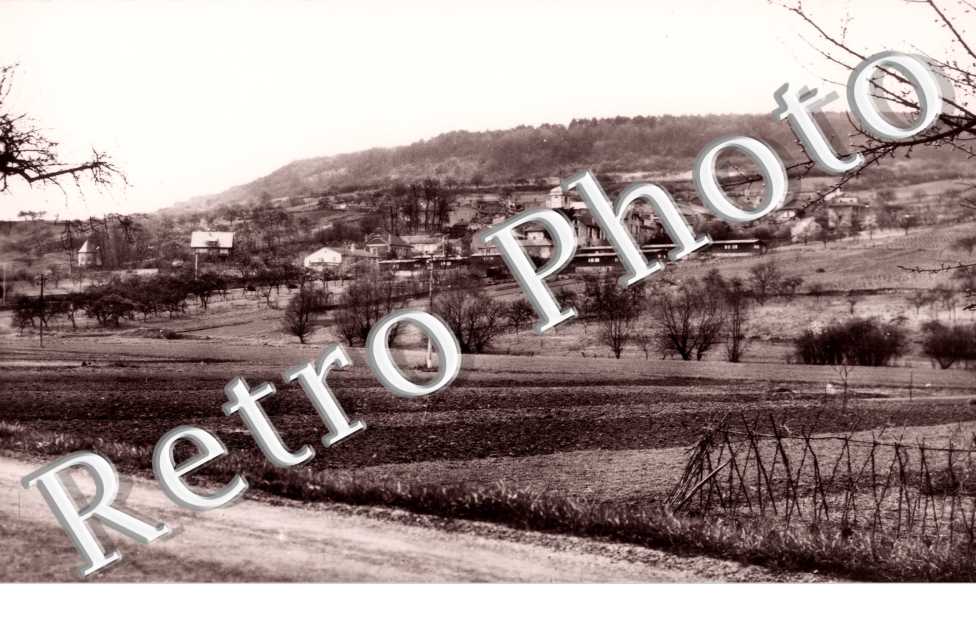 vue d'ensemble