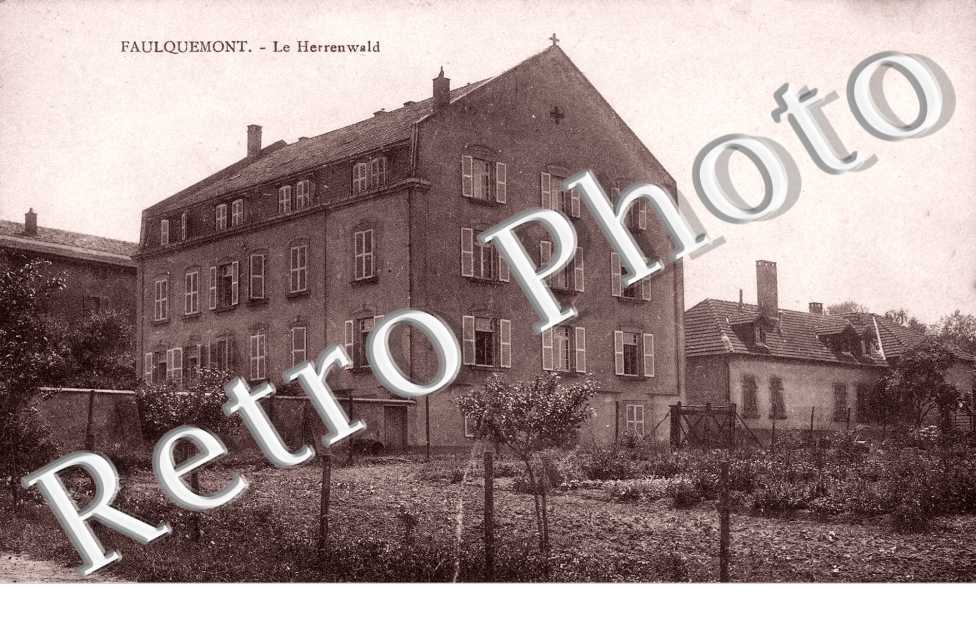 Le Herrenwald