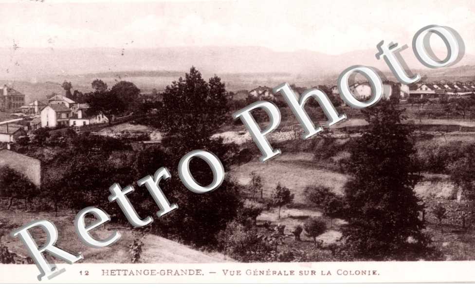 vue generale sur la colonie