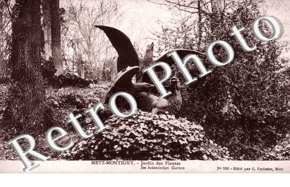 Jardin des Plantes