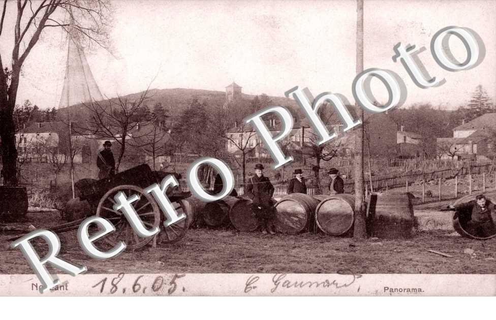 panorama - Nels serie 105 n° 176