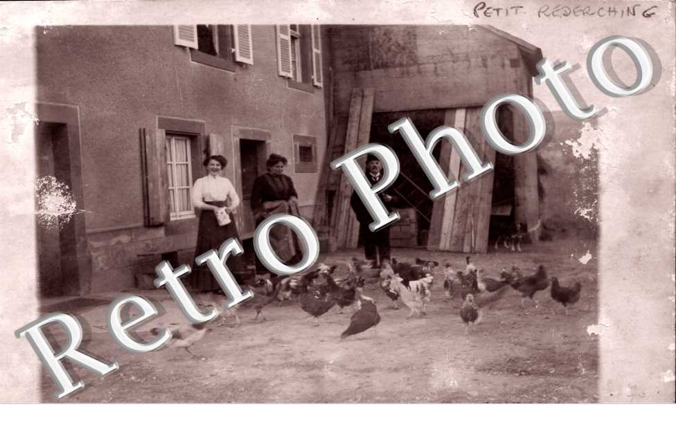 (pas de porte d'une maison avec poules)