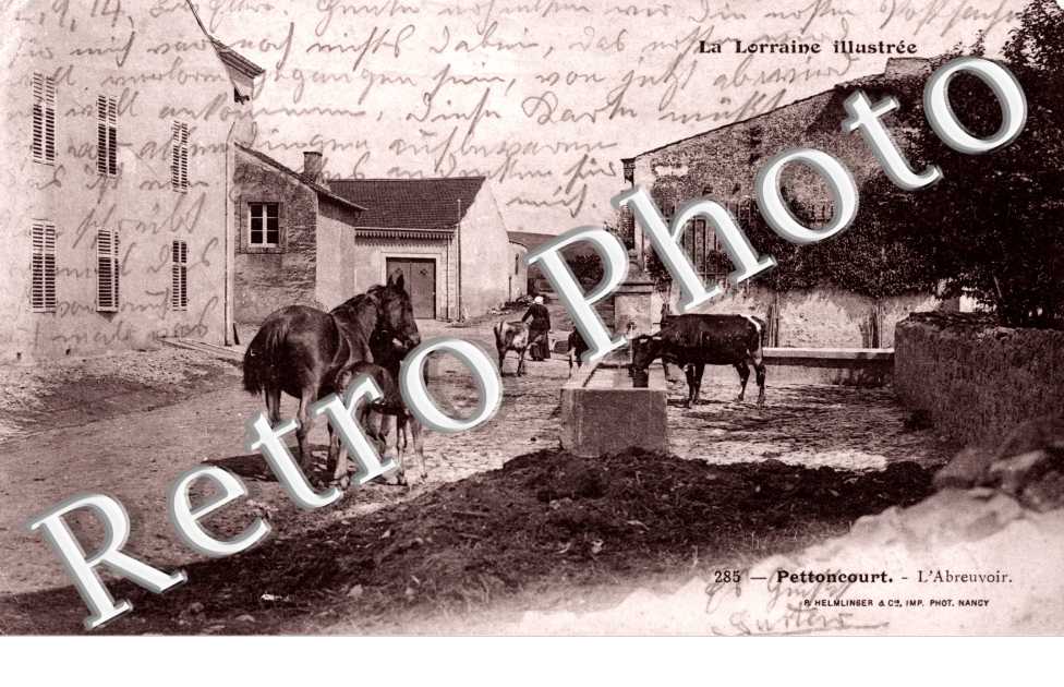 l'abreuvoir