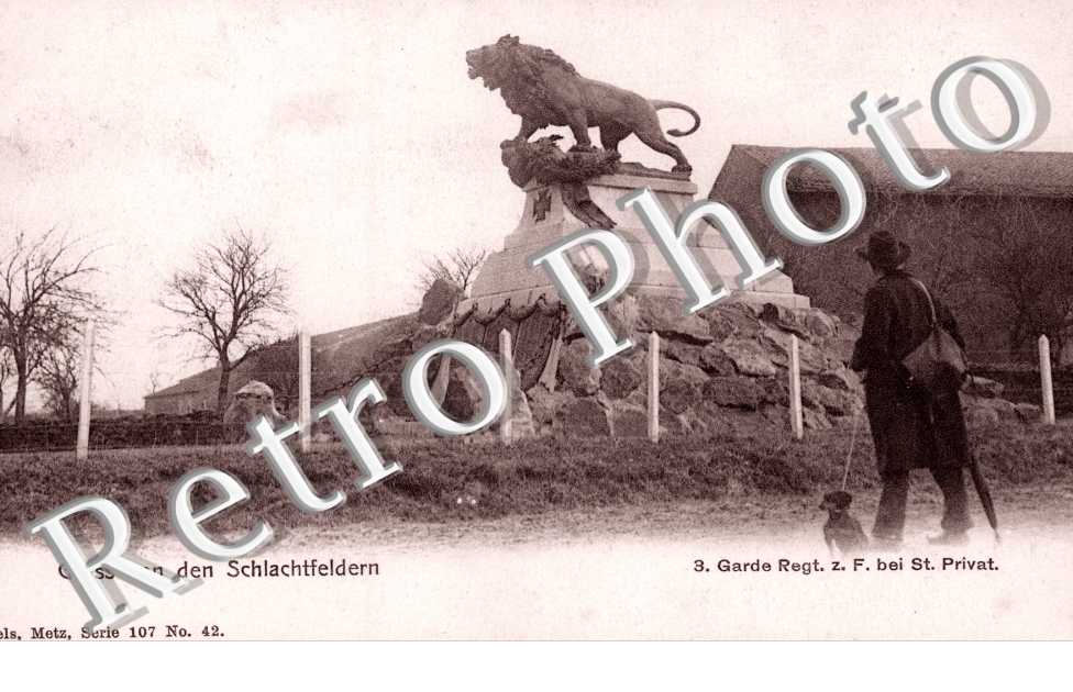 monument 3. garde Regt z.f.   Nels serie 107 n° 42