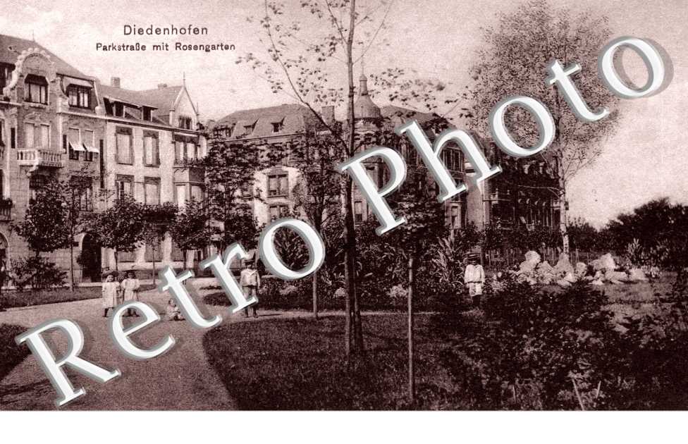 Parkstrasse mit Rosengarten