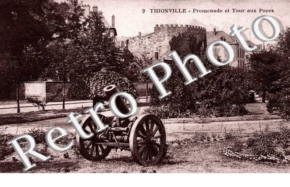 Promenade et tour aux puces